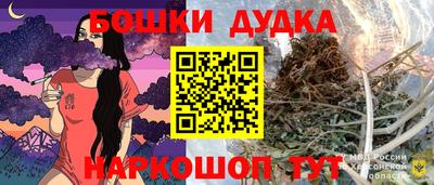 spice Дубна