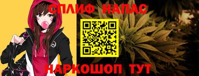spice Дубна