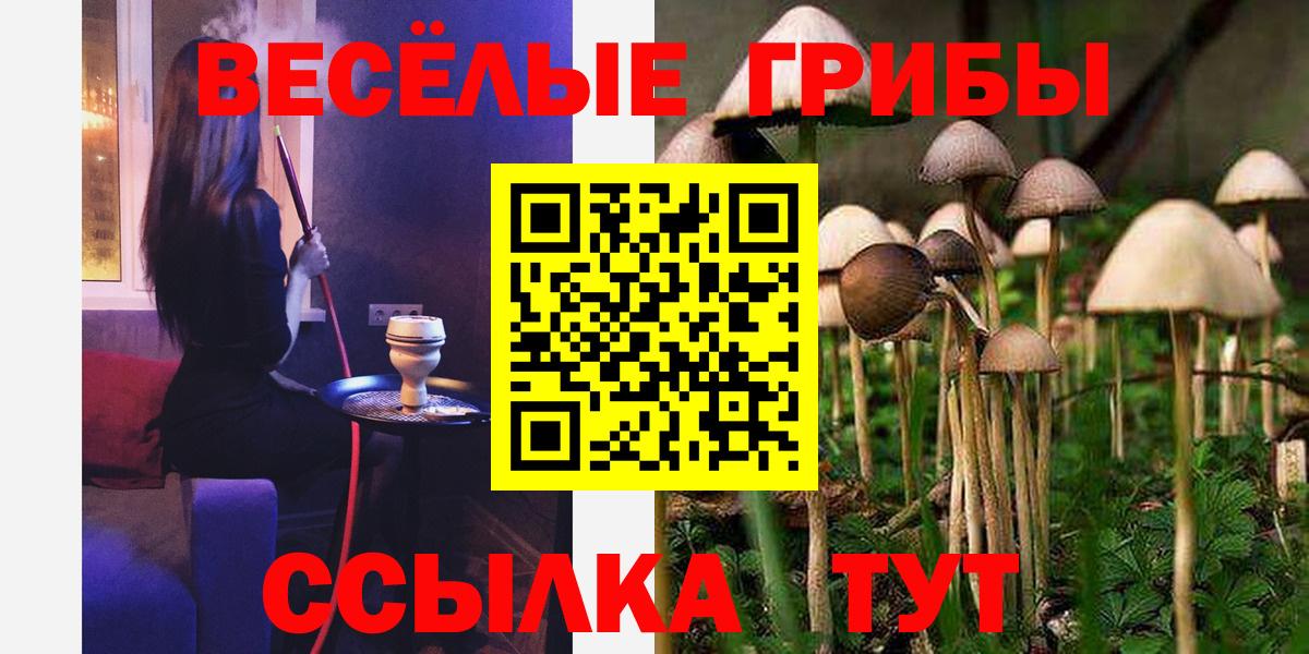 Лысьва  Галлюциногенные грибы мицелий  Вход с VPN 